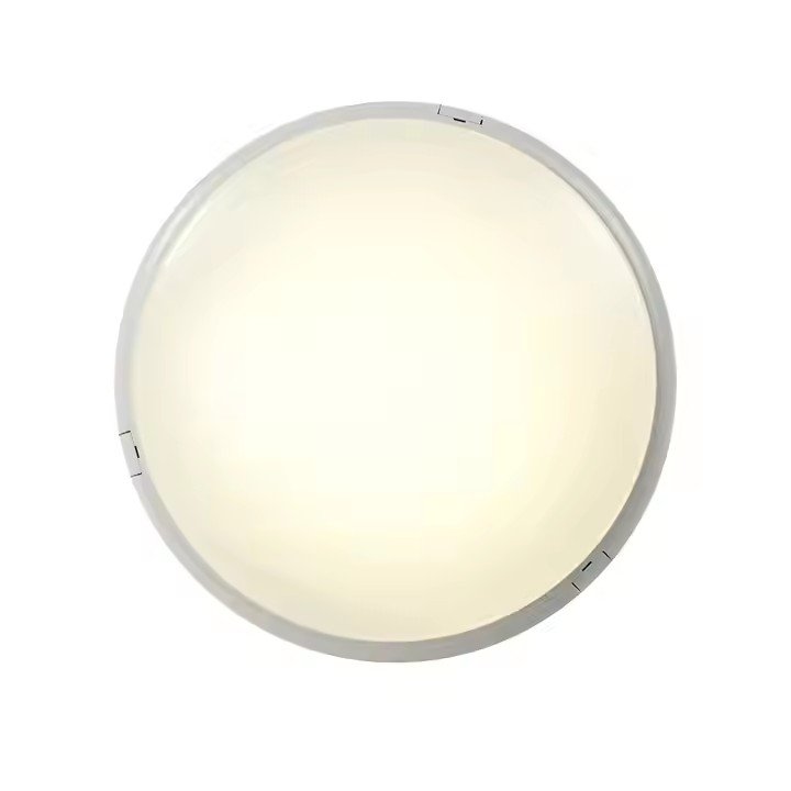 20w IP65 IK10 water proof damp proof ceiling lights Bulkhead Light Round For Garden Corridor Bathroom