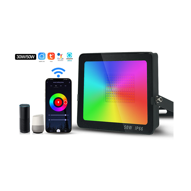 TUYA smart control Led Flood Light RGB Memory Timing WIFI IR RF Outdoor 100W Electric Aluminum Garden Ceiling Light Ice Censor