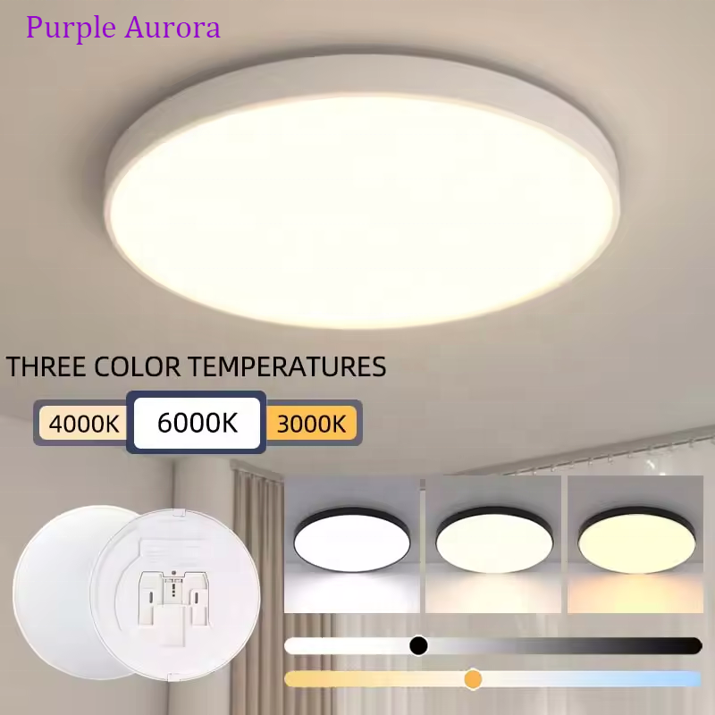 Outdoor Hallways 3CCT Dimmable Lighting Living Room Bedroom Home Round Light Remote Ultra Thin Led Ceiling Lights