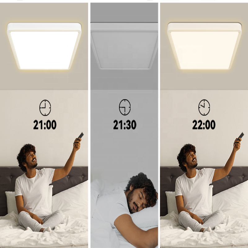 Outdoor Hallways 3CCT Dimmable Lighting Living Room Bedroom Home Round Light Remote Ultra Thin Led Ceiling Lights