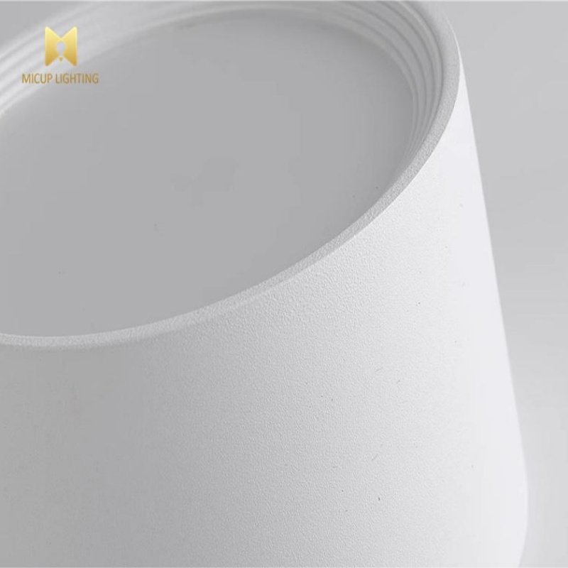 Indoor Ceiling Iron Cylinder Downlight 9W 12W 18W Pendant Dimmable Surface Mount Downlight