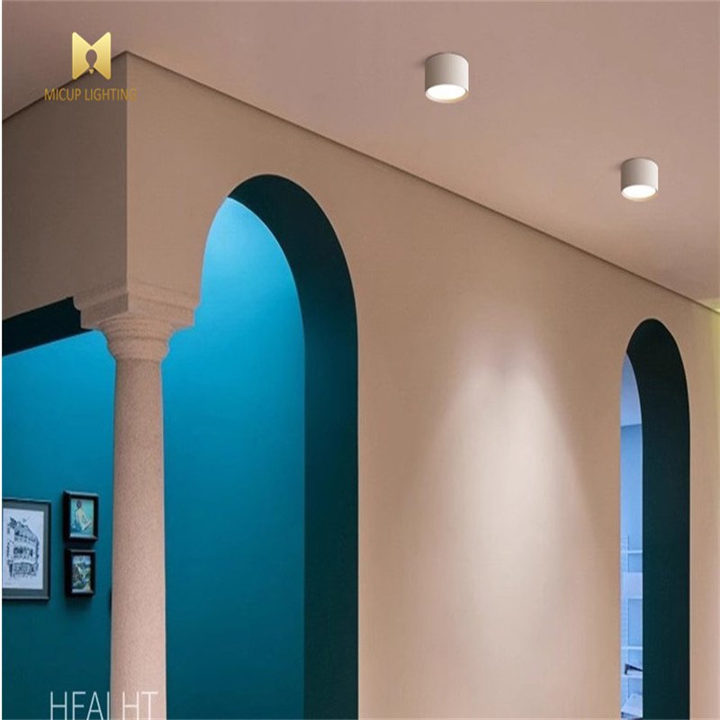 Indoor Ceiling Iron Cylinder Downlight 9W 12W 18W Pendant Dimmable Surface Mount Downlight