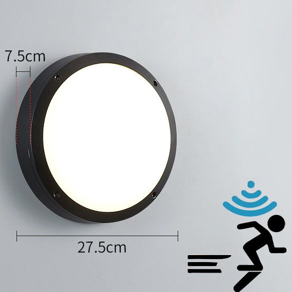 IP65 round circular Ceiling Lamp Led Waterproof Indoor outdoor garden light and Porch Balcony Terrace Ceiling Wall Light