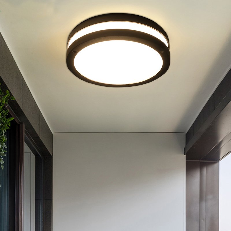 Balcony round aluminum waterproof LED outdoor ceiling light 30w human body induction light outdoor round Led ceiling light