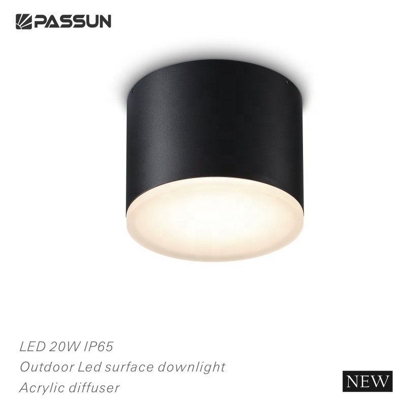 IP65 Waterproof LED Ceiling Light PASSUN light Professional Manufacturer surface mounted round light fixtures