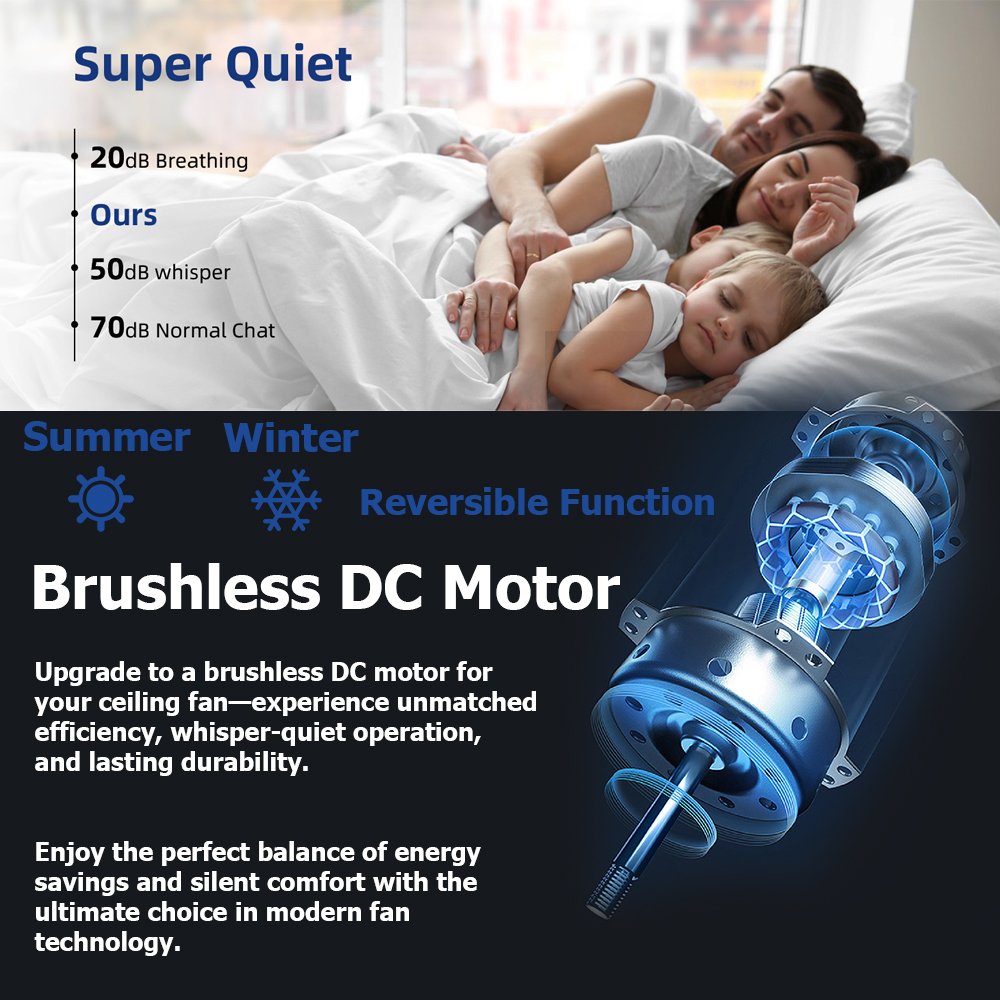 Solid Wood 60 inch Ceiling Fan Without Light, 3 Wood Blades 5 Speeds Control Reversible DC Motor, Ceiling Fan for Indoor Outdoor