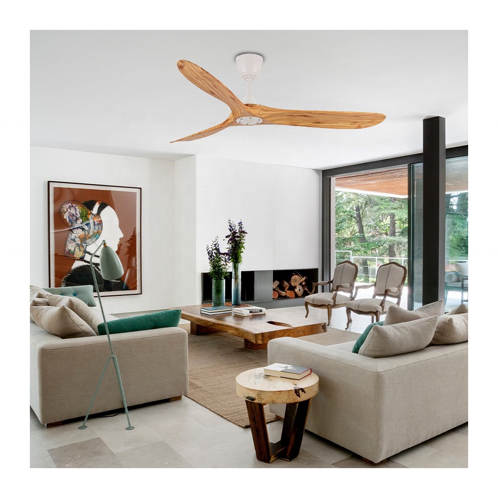 60" decorative ABS BLDC ceiling fan without light remote big ceiling fans for home