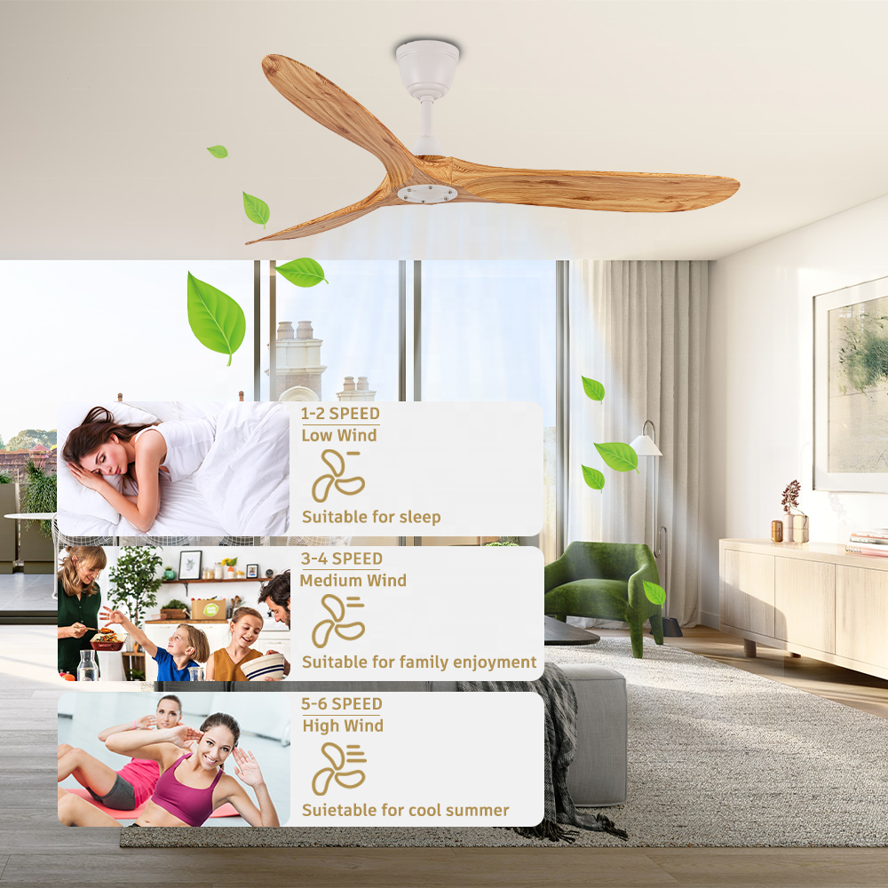 60" decorative ABS BLDC ceiling fan without light remote big ceiling fans for home