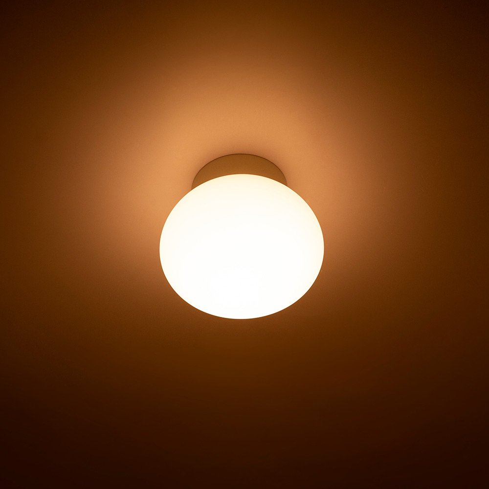 VJC 8W IP54 Surface Egg Outdoor Opal globe for outdoor and indoor use Surface deco light for wall or ceiling led wall light