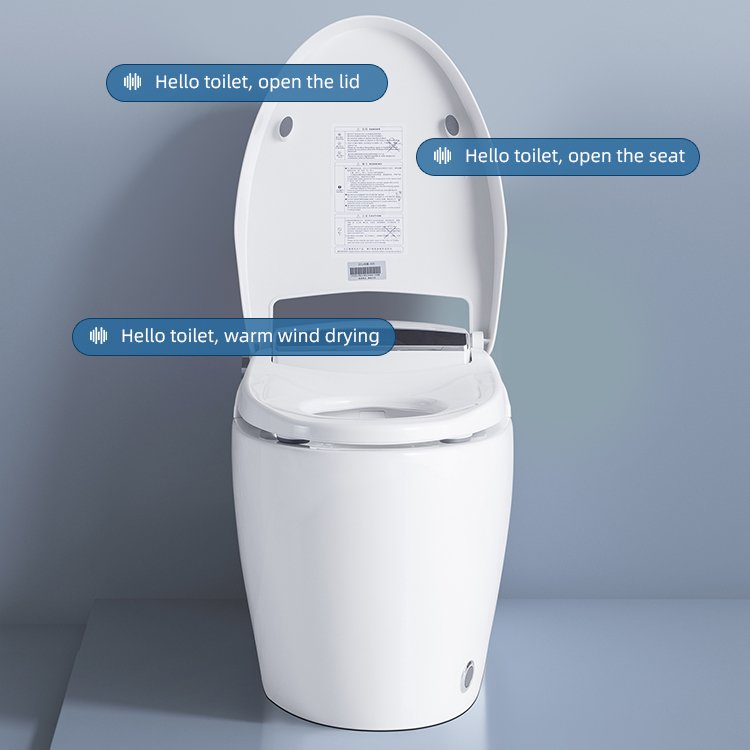 110 V 220v Electronic European Shop Smart Toilets 2024 Porcelain Floor Mounted With Foam Shield Uv Light Voice Conmand