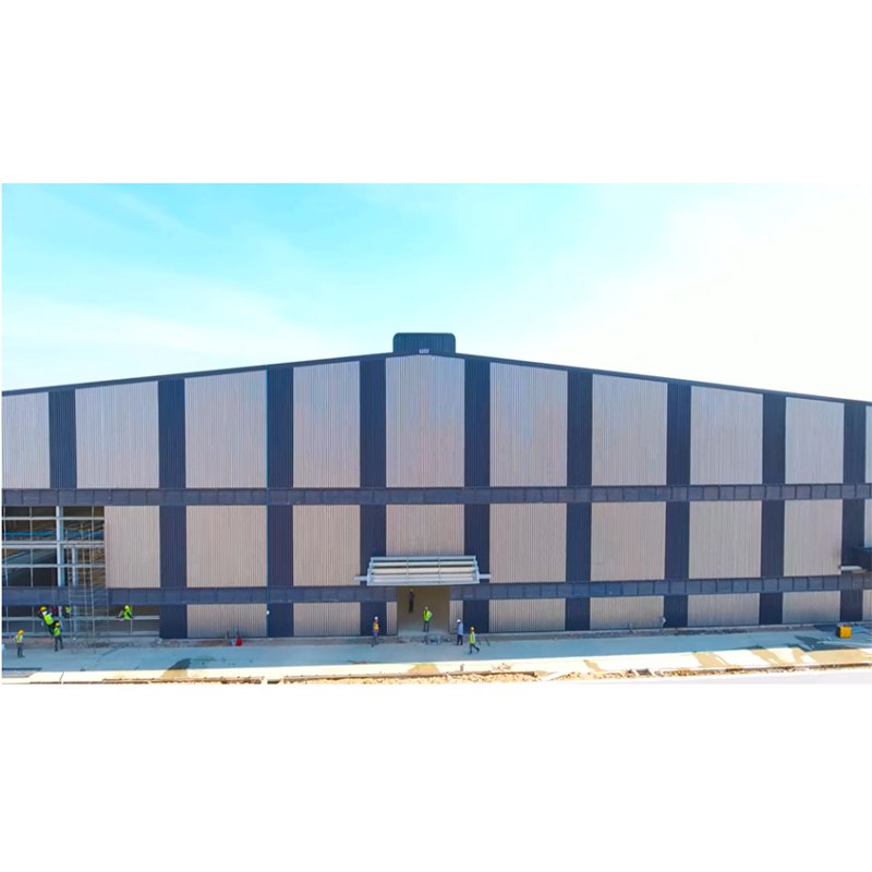 China Supplier Sale Light Steel Structure Construction Building Prefabricated Steel Structure Airport Terminals