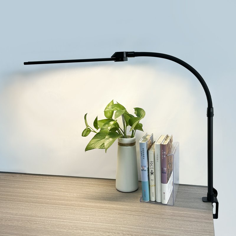 LED high brightness lamp beads modern iron double head hose study reading eye protection clip desk lamp dormitory