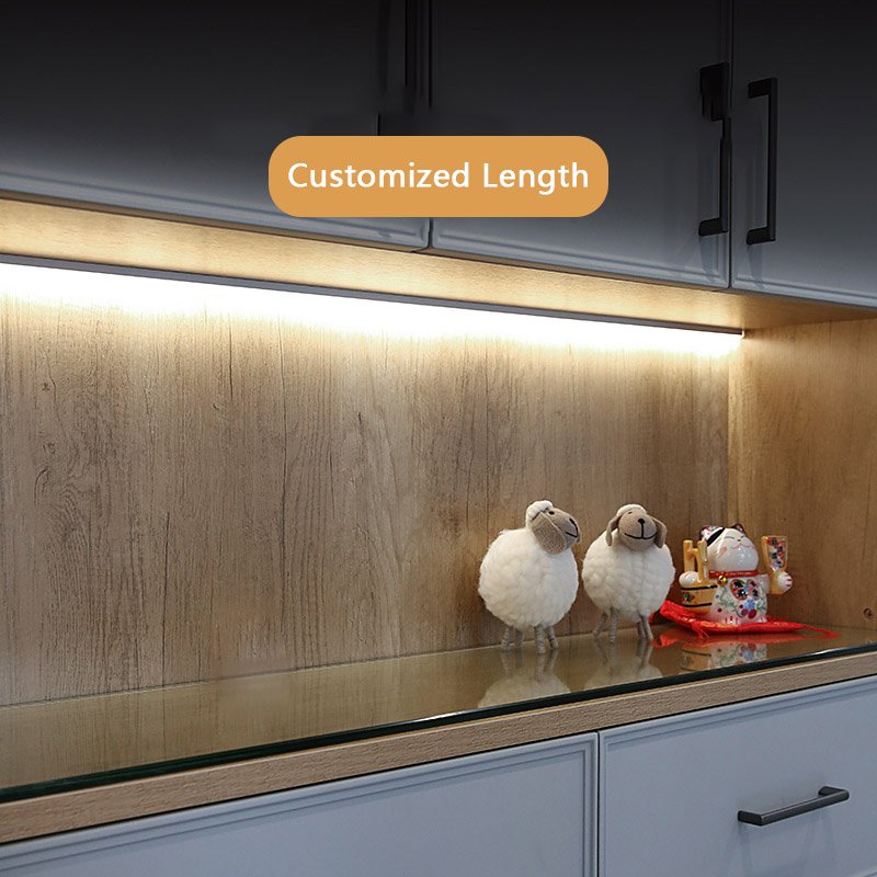 China welding free low voltage surface mounted aluminum extrusion book led shelf lighting