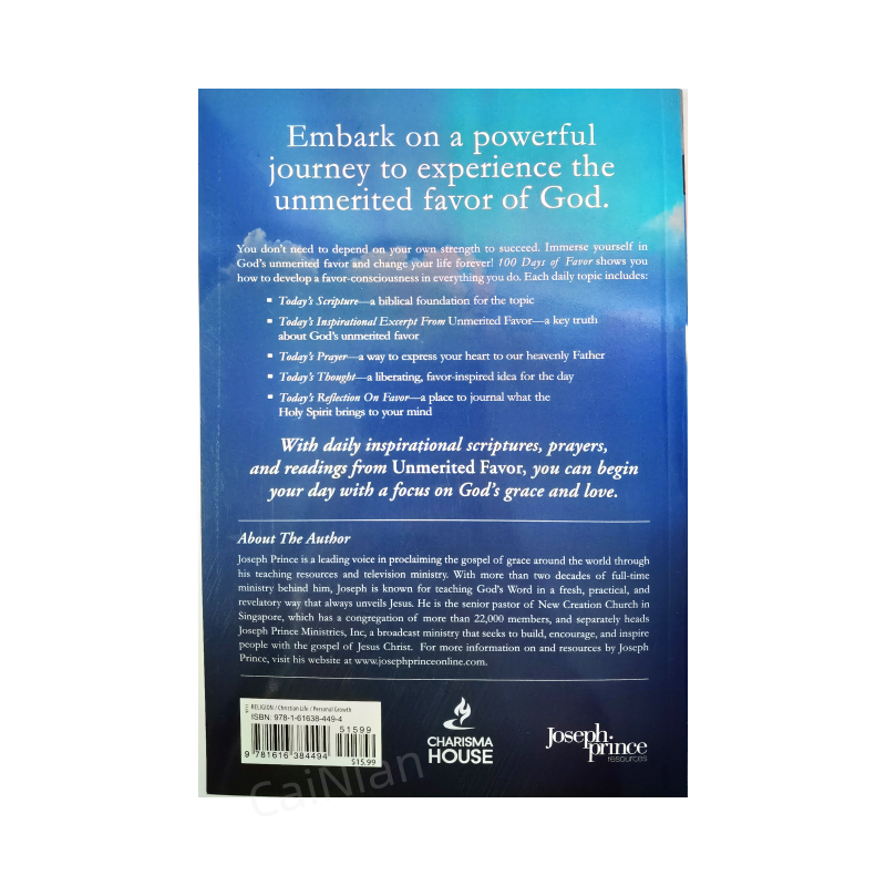 China Manufacturer Novel Preloved Best Seller Novel Publishing Book 100 Days Of Favor Novels Series