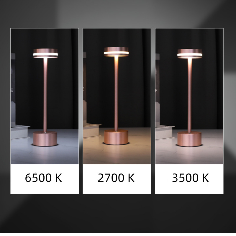 Modern Rechargeable Cordless table lamp touch control dimmer led desk light metal night lights office study reading stand light