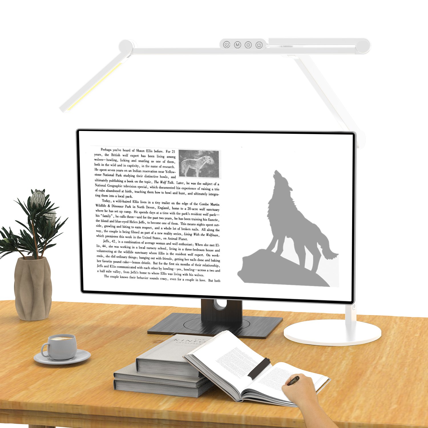 Wholesale Luxury Top Quality High-end LED Desk Light,reading lamp book