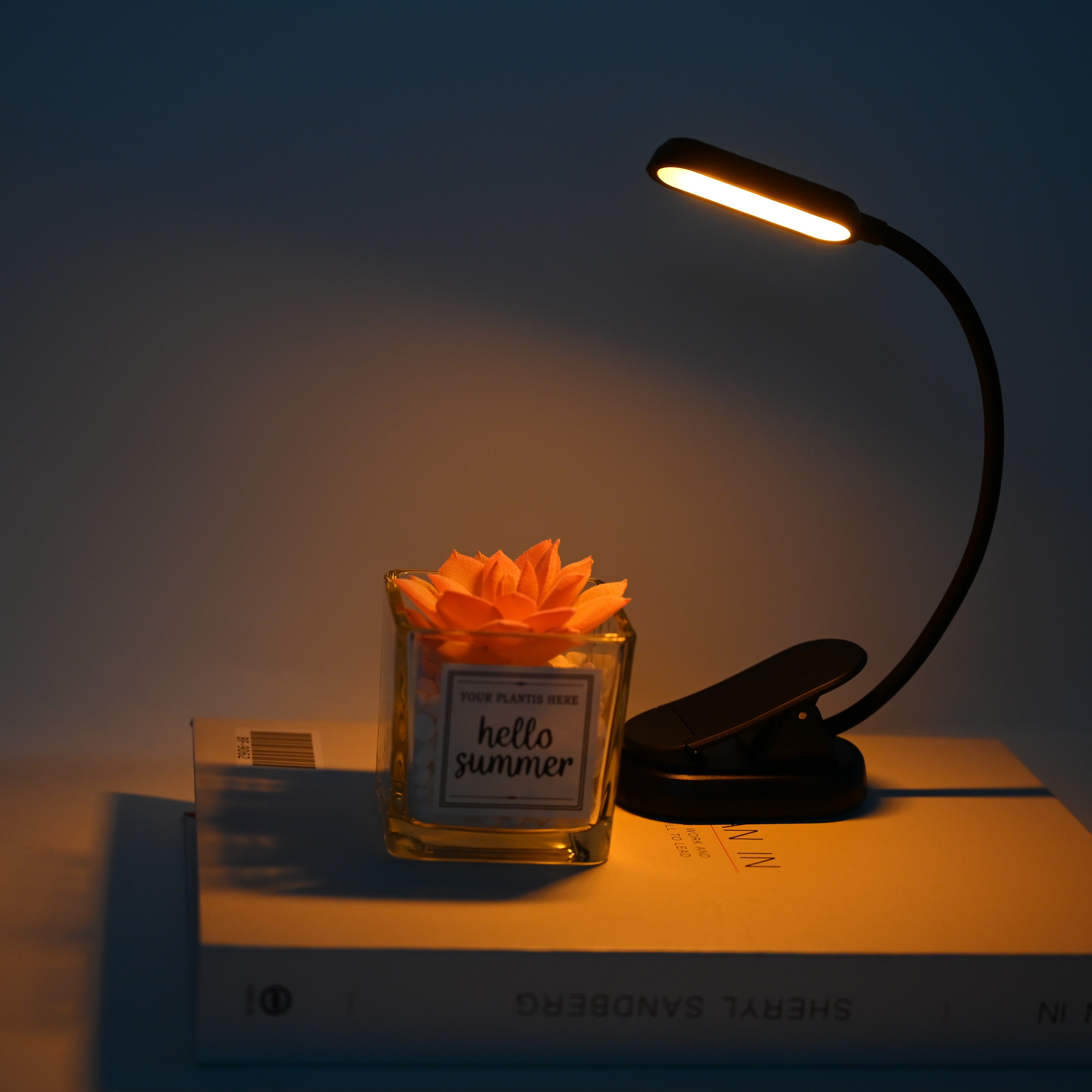 No Blue Light Healthy Foldable USB Small Dimmable Eye Protection LED Reading Study Book Light Lamp For Kids Night Light