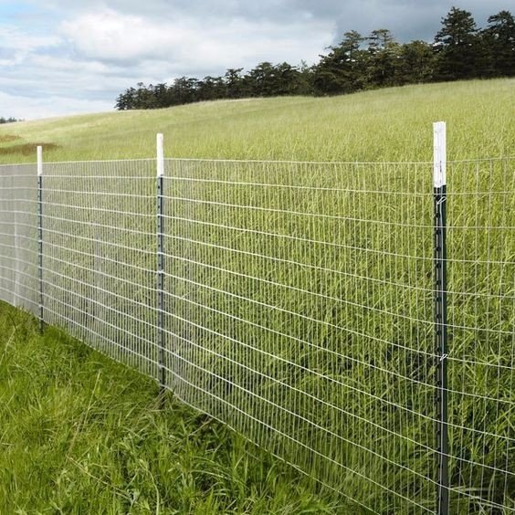 Galvanized Y Post Star Picket 2.0m 1.25lbs/ft Heavy Duty Studded Y Post with spade and studs for customized 6 ft 7 ft 8 ft 9 ft