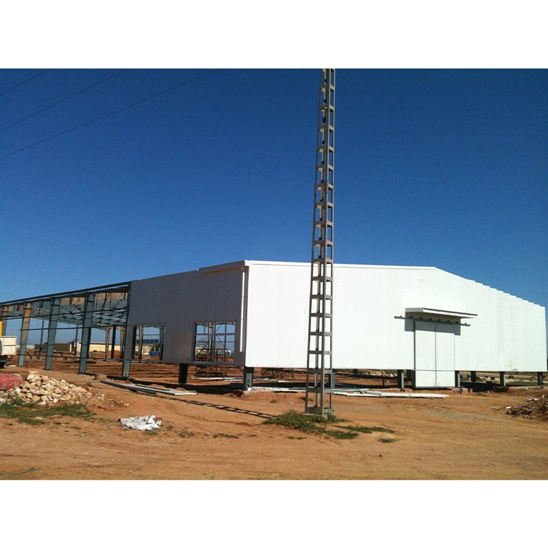 Steel Structure Warehouse Construction Prefabricated Warehouse Steel Structure Building