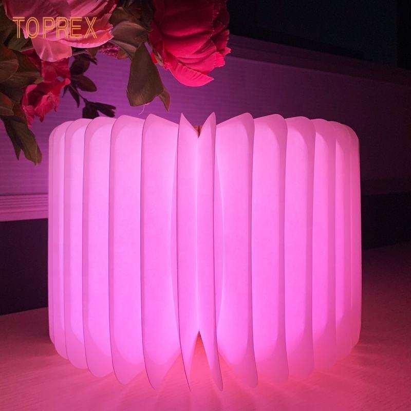 Toprex 2023 home decor modern wholesale NO MOQ small cartoon rechargeable portable folding led book lamp