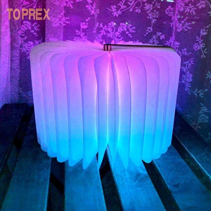 Toprex 2023 home decor modern wholesale NO MOQ small cartoon rechargeable portable folding led book lamp