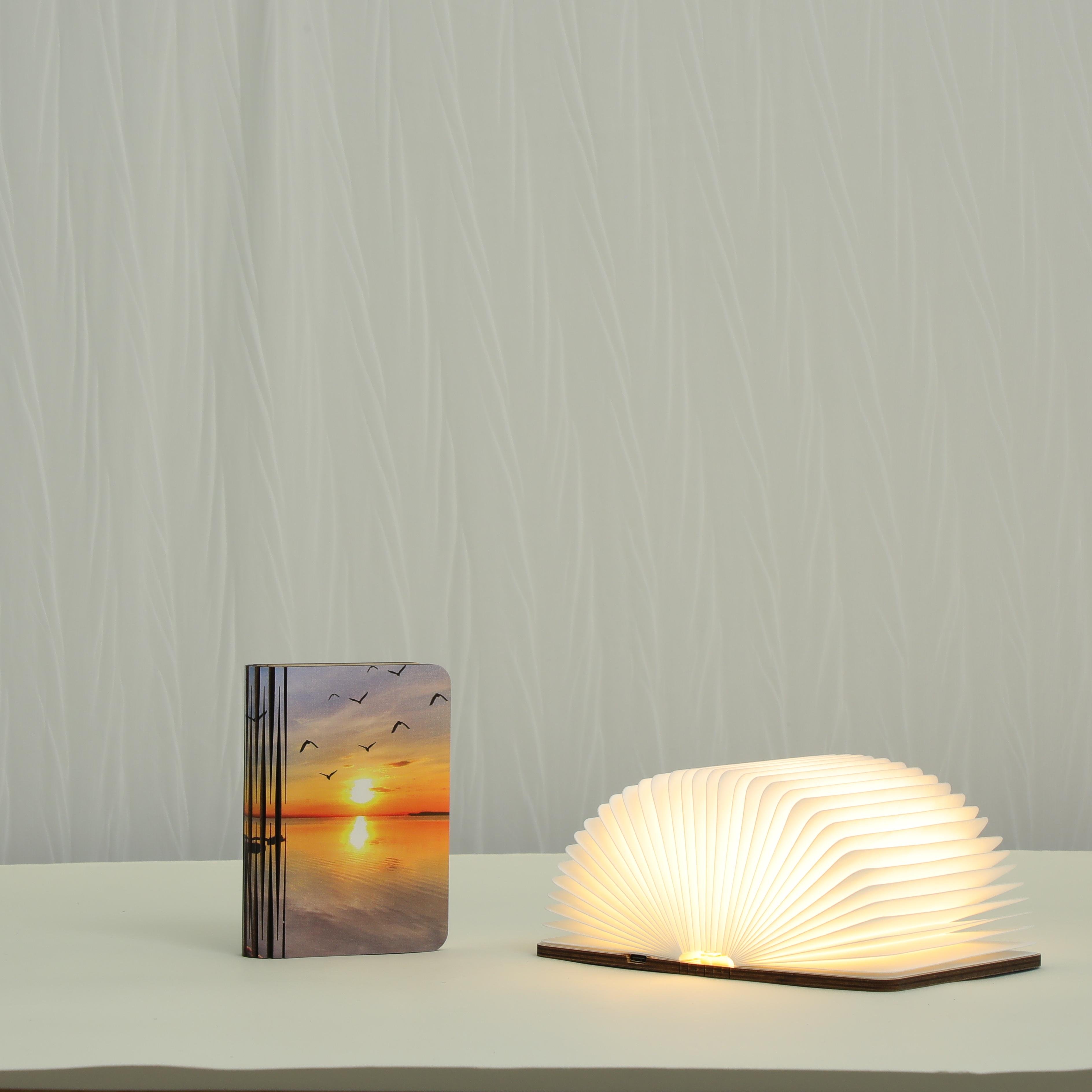 -unique wholesale top ranking products book reading lamp