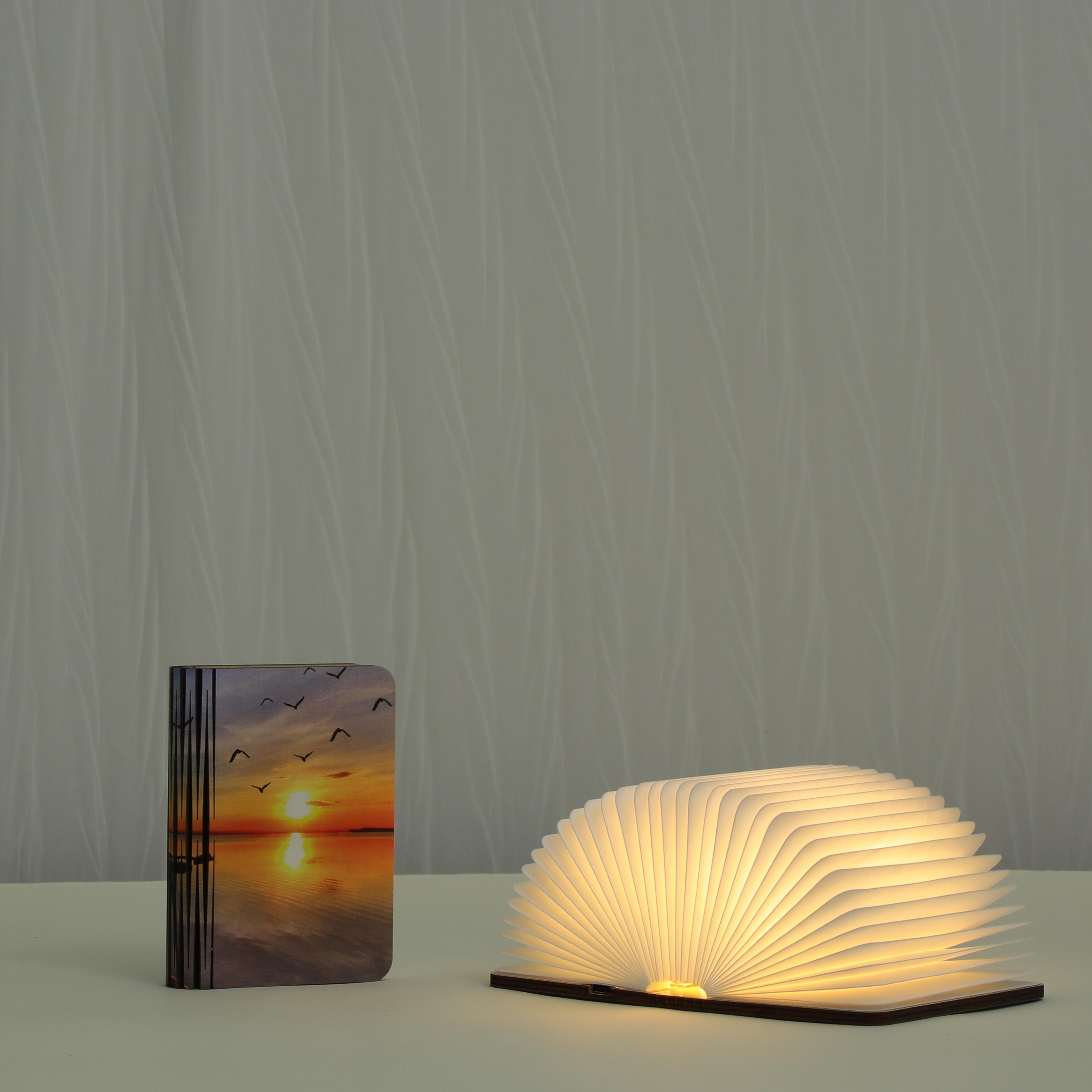 -unique wholesale top ranking products book reading lamp