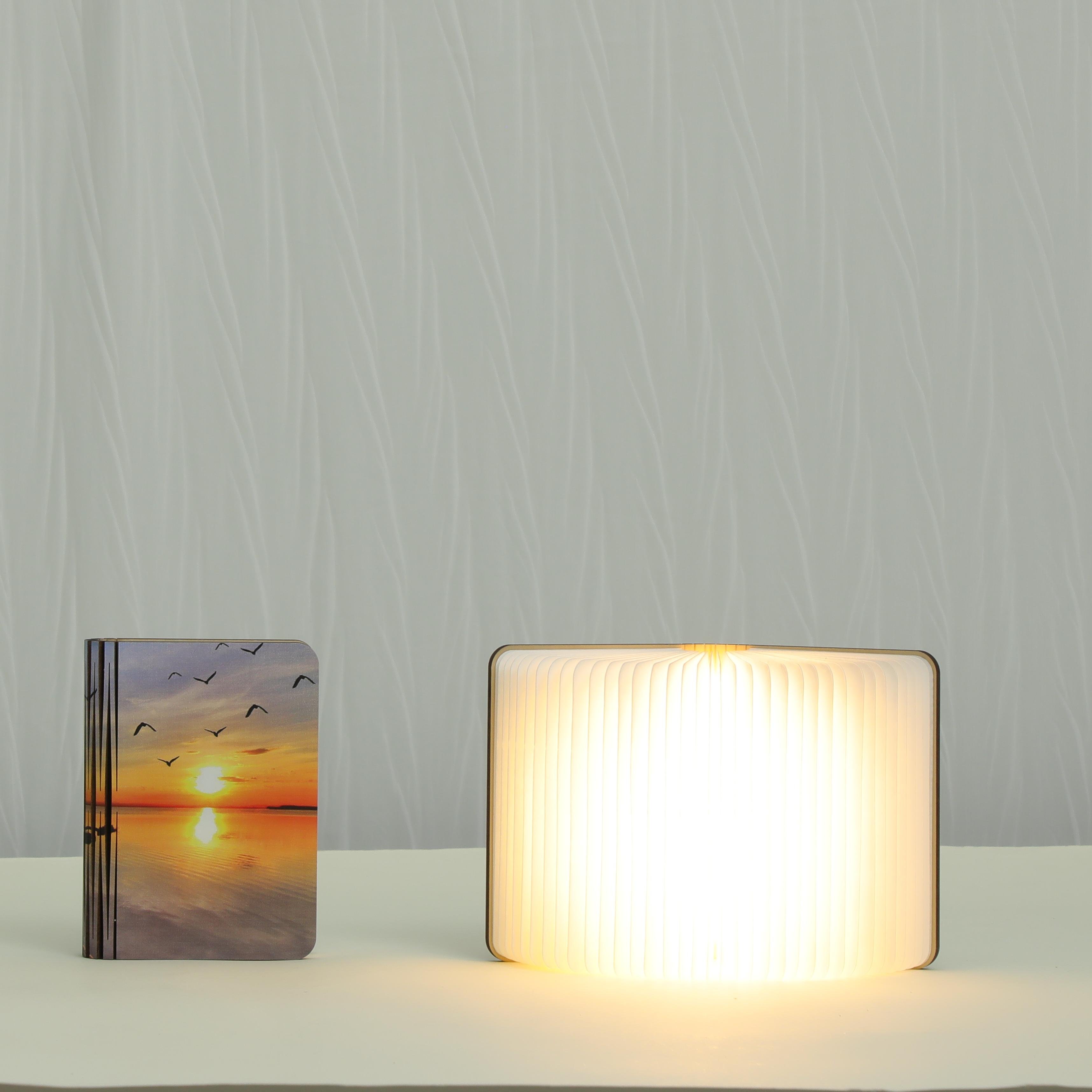 -unique wholesale top ranking products book reading lamp