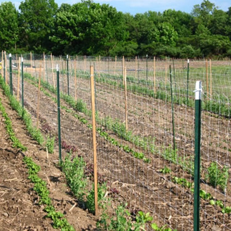 Factory Direct Sales Easy Assembly Steel Farm Fence Studded T Post Heavy Duty with Hot Dip Coating Used Gate Wire Cheap Price