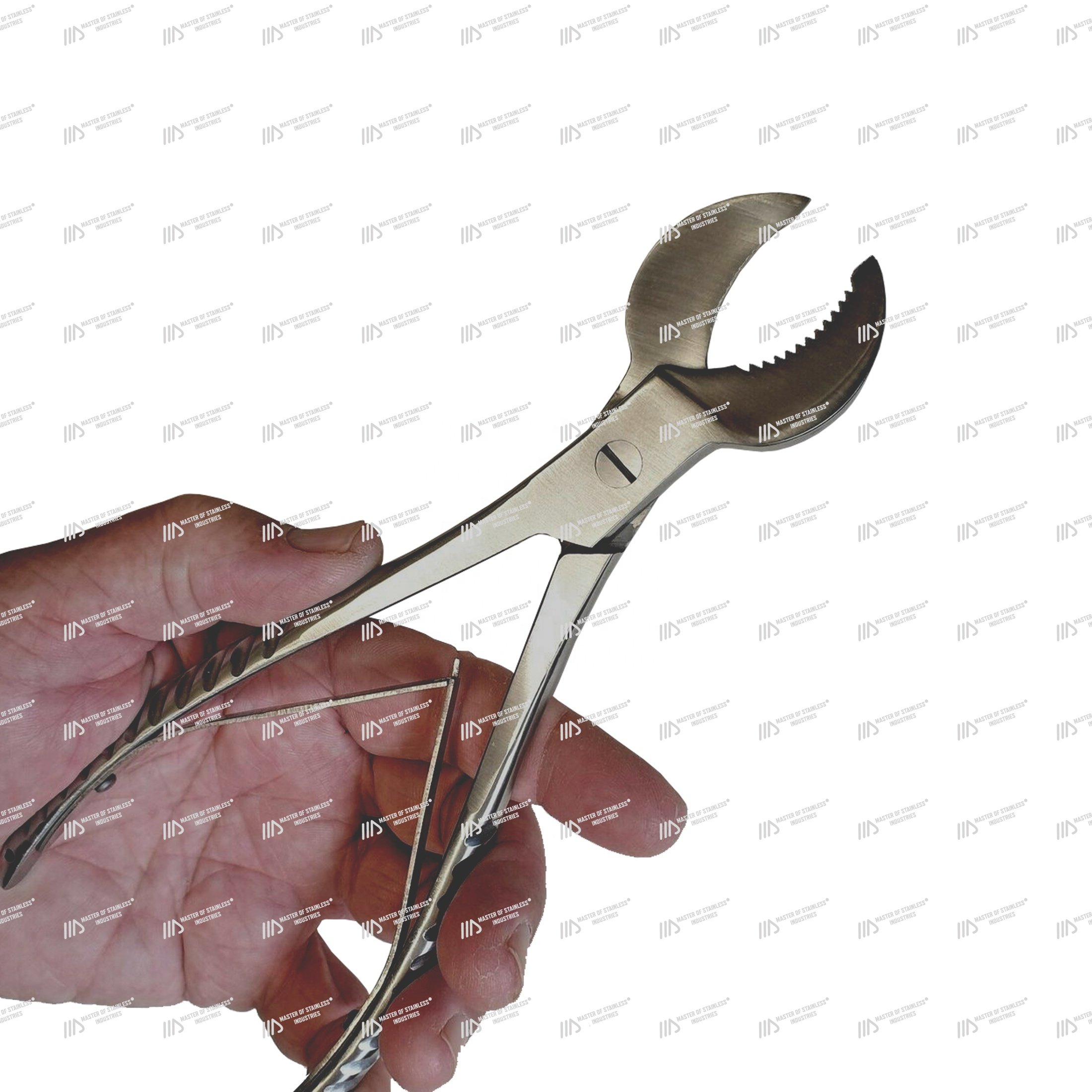 ODM Best Quality Crescent Coral fragging cutters stainless steel moon type coral cutters aquarium tools coral propagation tools
