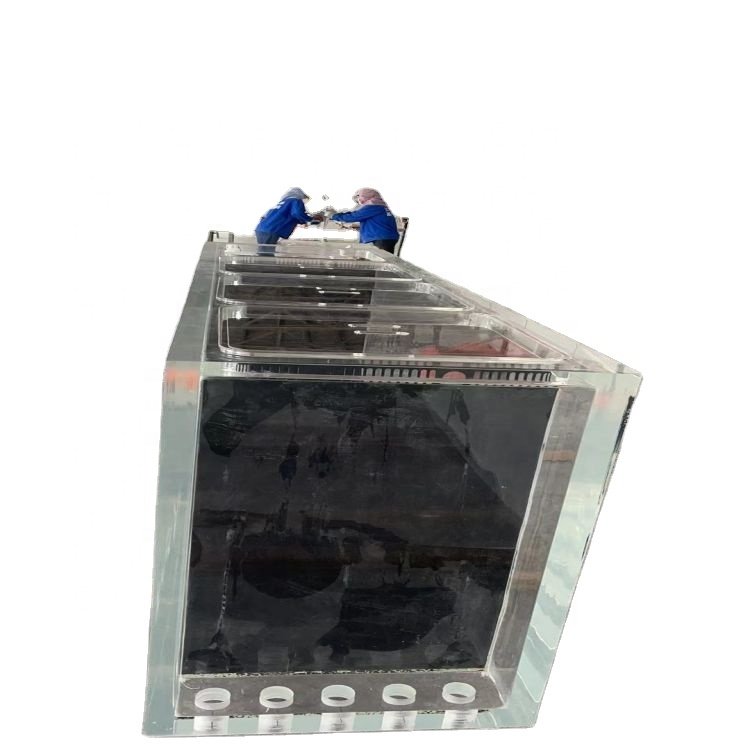 5M X1.7M Customized Lar Transparent Acrylic Aquariums Exquisite Reef Bettas Fish Tank