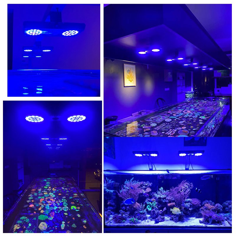 MICMOL THOR X Marine Full Spectrum Aquarium Light High Efficacy for Reef Aquarium Fish Tank