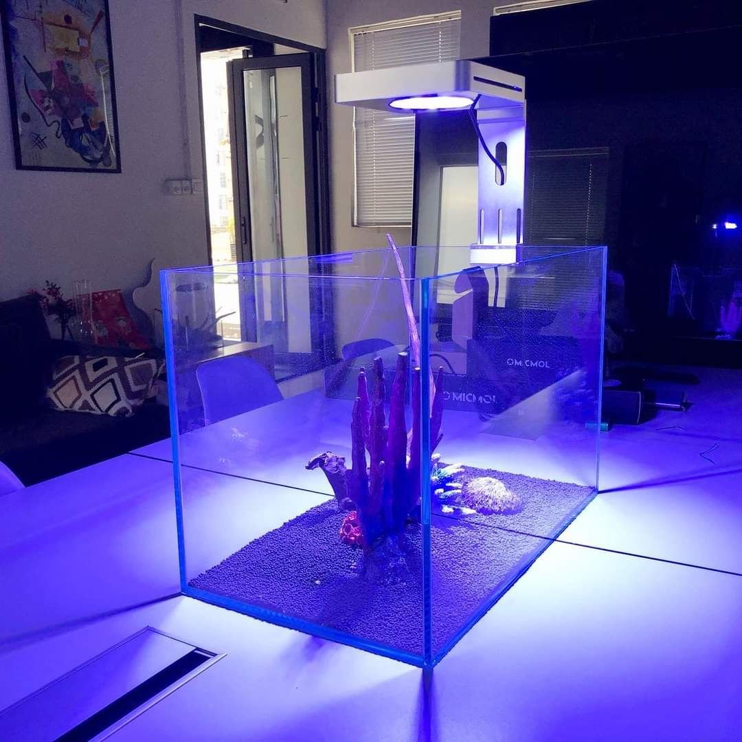 Aqua Pro 120W Marine Full Spectrum Four Channels LED Aquarium Light with WIFI or Smart Controller and Adjustable Bracket