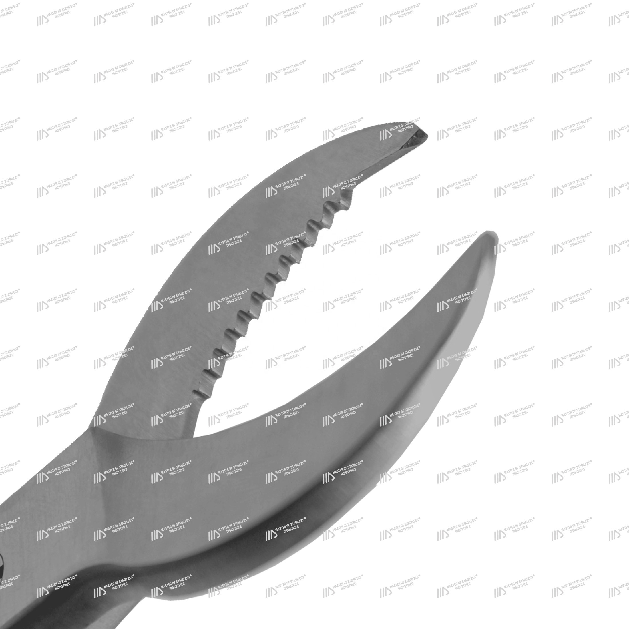 OEM Best Quality Crescent Coral fragging cutters stainless steel moon type coral cutters aquarium tools coral propagation tools