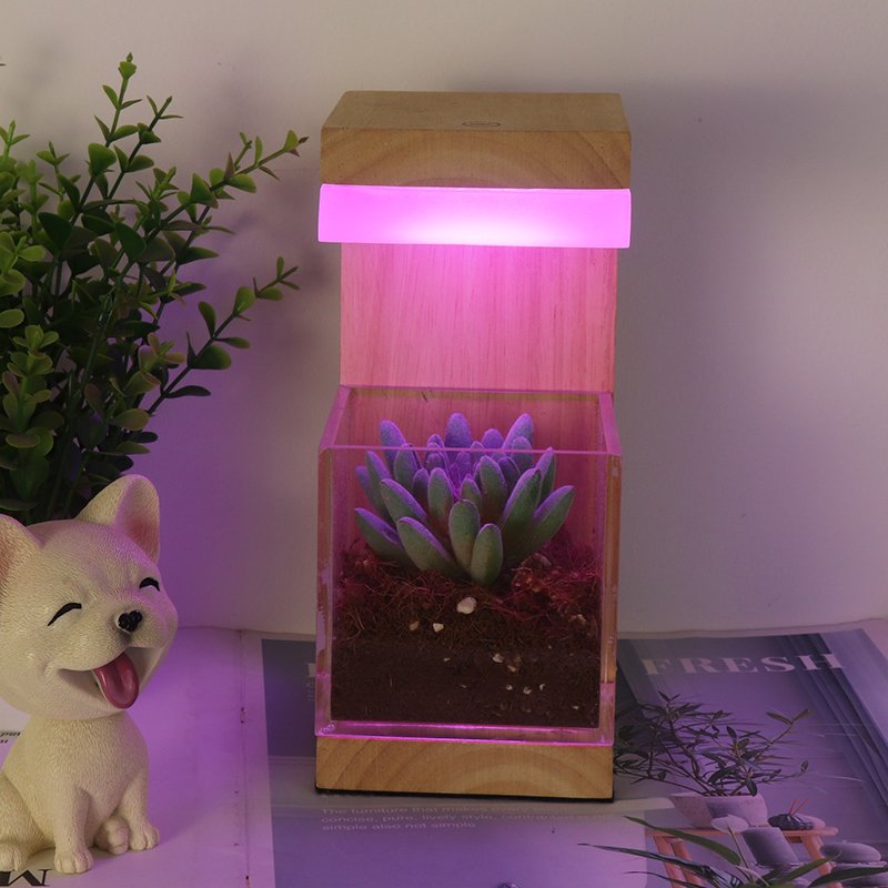 Rechargeable Rgb Acrylic Wooden Led Lamp Dimmable Plant Grow Lights With Battery