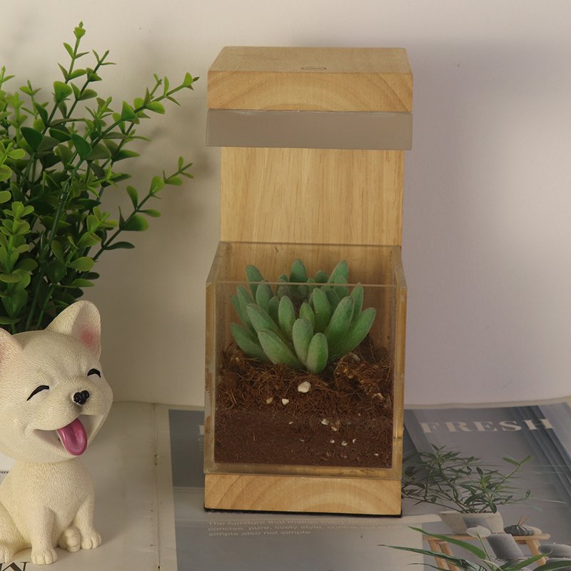 Rechargeable Rgb Acrylic Wooden Led Lamp Dimmable Plant Grow Lights With Battery