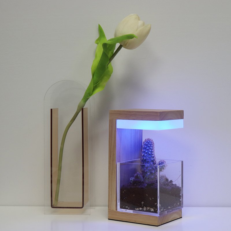 Rechargeable Rgb Acrylic Wooden Led Lamp Dimmable Plant Grow Lights With Battery