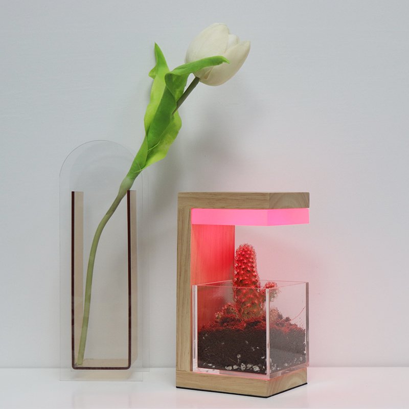 Rechargeable Rgb Acrylic Wooden Led Lamp Dimmable Plant Grow Lights With Battery