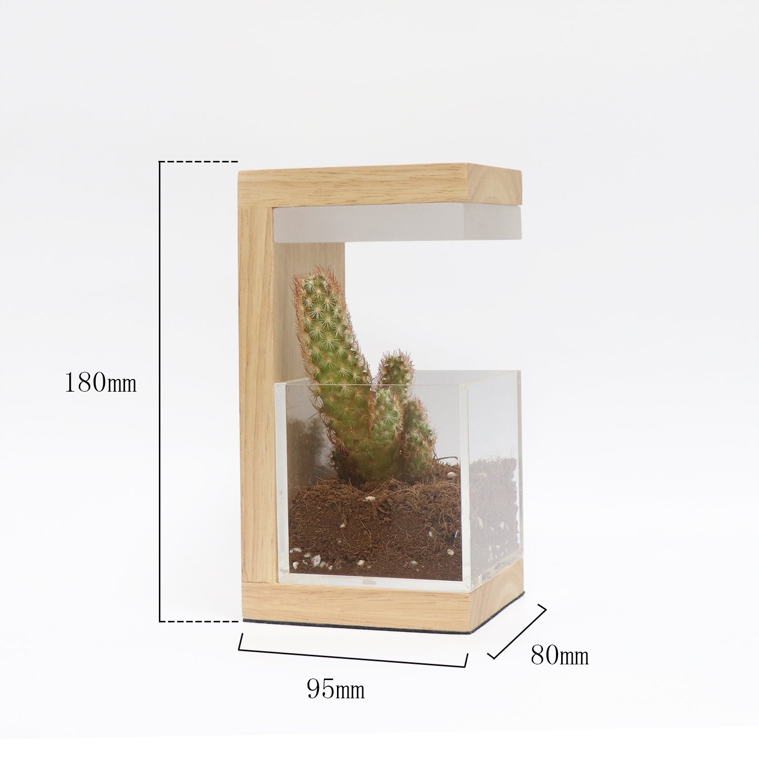 Rechargeable Rgb Acrylic Wooden Led Lamp Dimmable Plant Grow Lights With Battery