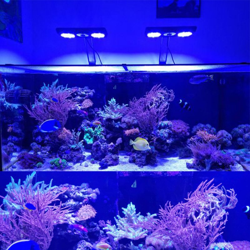 MicMol Thor X120w Full Spectrum Hot and New LED Aquarium Light with Smart Controller and Adjustable Bracket for Reef Corals