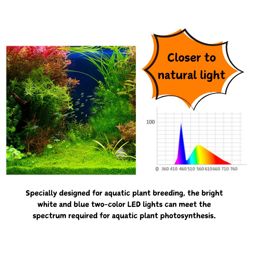 Home Aquarium Fish Tank Self Cleaning Betta Fish Tank With Lights Filter Water Pump