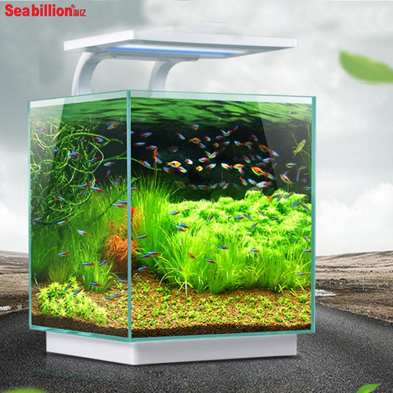 Fashionable Acrylic fish aquarium tank aquarium with LED aquarium light with remote control and manual