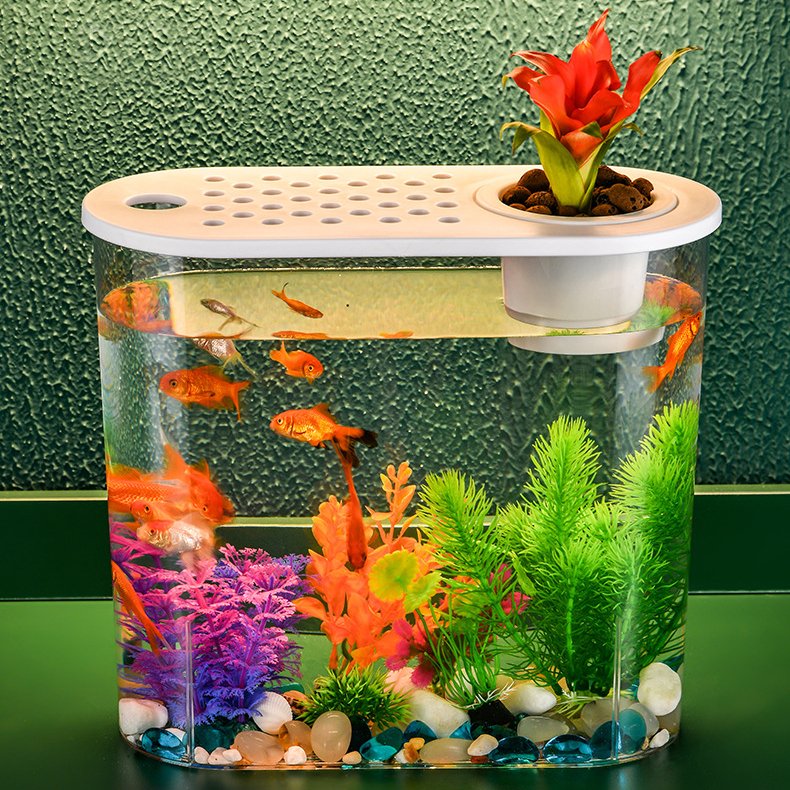 Creative small goldfish tank Acrylic aquarium fish tank aquariums for office