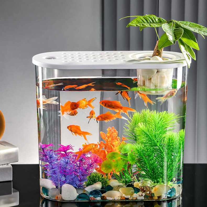 Creative small goldfish tank Acrylic aquarium fish tank aquariums for office