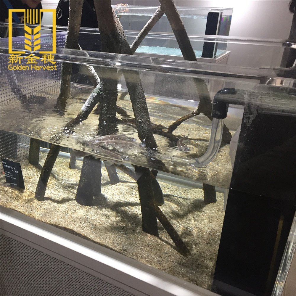 2023 Wholesale china merchandise cheap price transparent plastic large acrylic for fish tank
