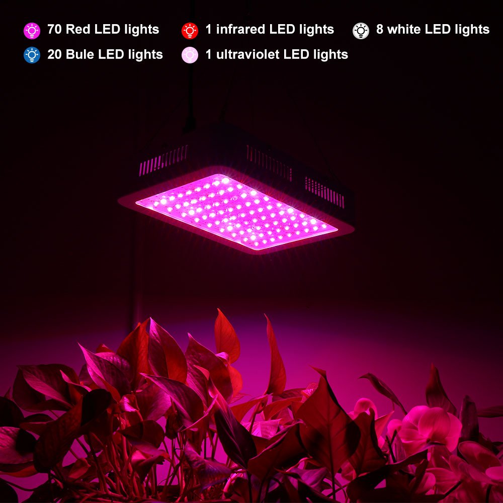 2 years warranty 1000W Full Spectrum plant tissue culture aquarium growing led light for plant growth