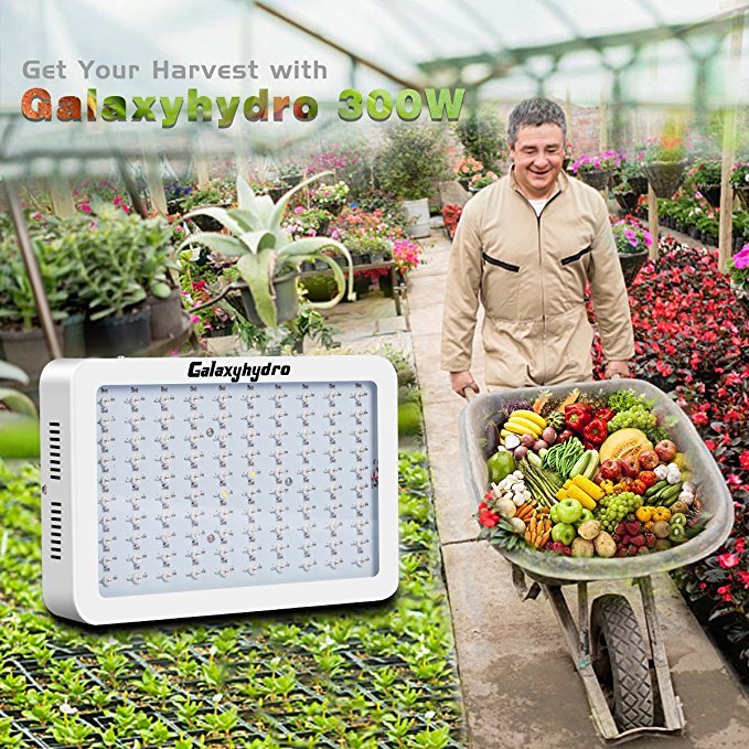 2 years warranty 1000W Full Spectrum plant tissue culture aquarium growing led light for plant growth