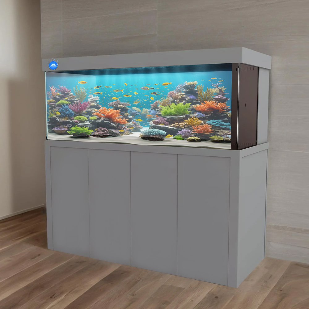 Indoor Display Fish Tank Filter Glass Small Desktop Aquarium Fish Tank with Led Lighting