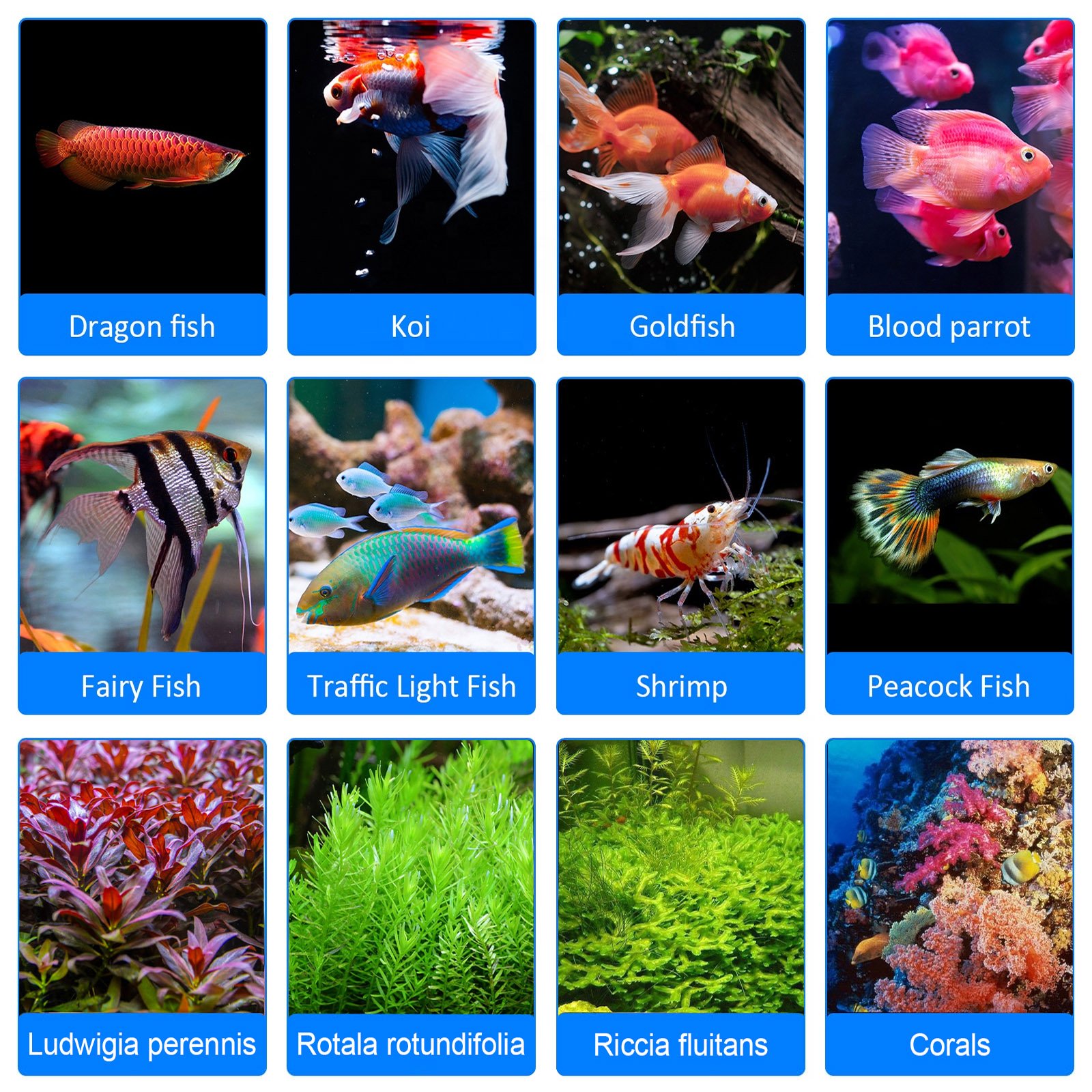 Cusomik fish lights manufacturers aquarium fish tank uv 395nm red green blue led light for aquarium with timer coral reef lamps
