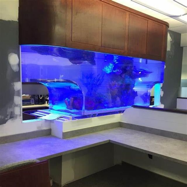 Lar Modern Style Acrylic Fish Aquarium Thick and Big Size Custom Cutting and Moulding Processing Available